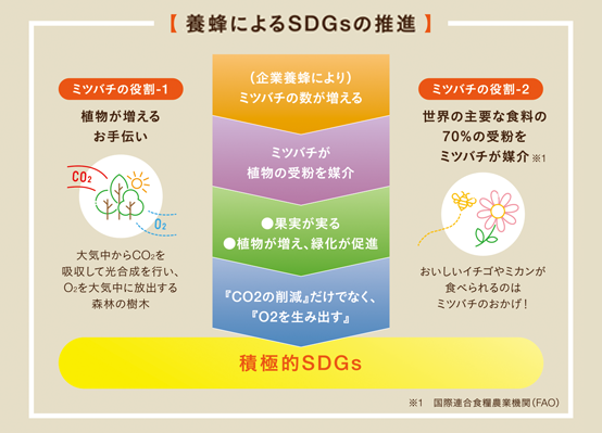 SDGｓについて