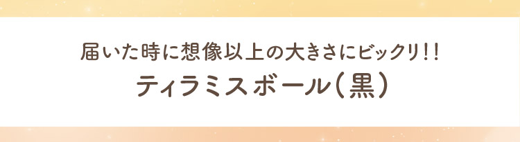 ティラミスボール(黒)