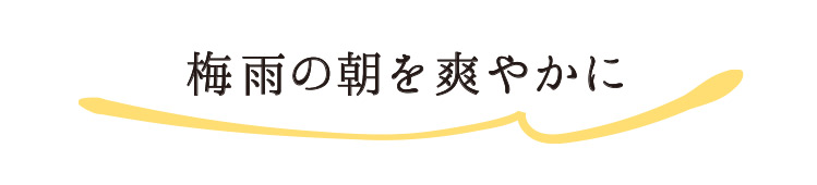 梅雨の朝を爽やかに