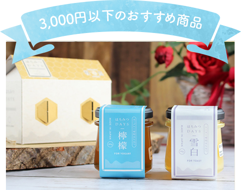 3,000円以下のおすすめ商品 はちみつDAYSギフトBOX（雪白,檸檬）